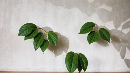Palm leaves