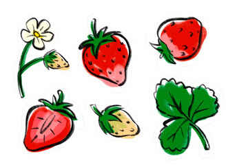 Garden strawberries and greens hand drawn sticker set with with white borders. Isolated colorful nature collection on transparent background. Printable illustration for stickers, decoration or design.