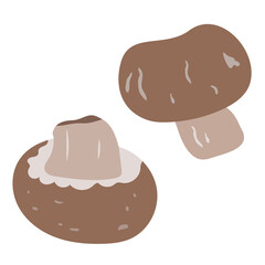 brown champignon mushroom isolated on background