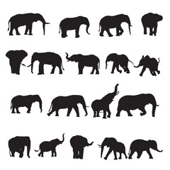 Majestic Elephant Vector Design: Perfect for Wildlife Logos, Nature Posters, and Conservation Branding