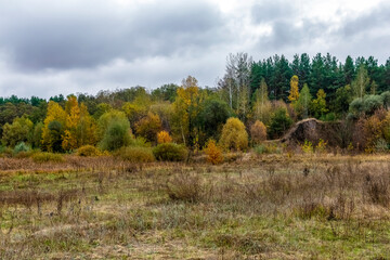 Beautiful bright autumn landscape with cloudy sky.