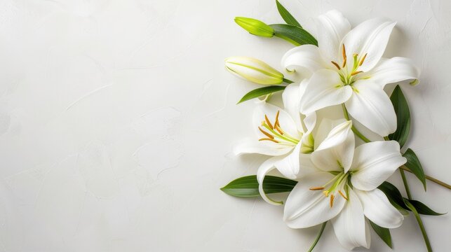 Elegant Easter Lily Bouquet on White Background
