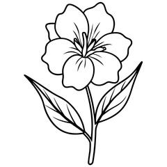 Fototapeta premium Line art of Evening Primrose flower 