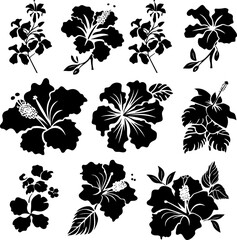 Obraz premium Hand drawn Hibiscus flower silhouettes collection