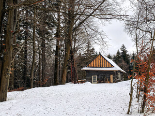 A wooden cottage in the forest covered with snow in Slovakia, Europe