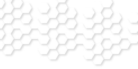 Background with hexagons . Abstract background with lines . white texture background . white and hexagon abstract background. white paper texture and futuristic business .