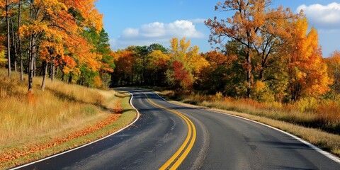 Fototapeta premium A scenic countryside road in autumnal splendor, showcasing golden foliage and serene natural beauty.