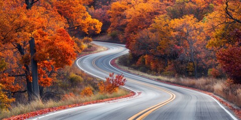 Fototapeta premium Amidst dense golden woods, a winding road in autumn reveals the vibrant colors of the season.