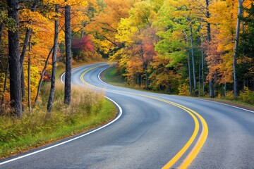 Fototapeta premium Driving through golden autumnal woods, a colorful forest road captures the beauty of fall.