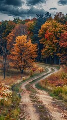 Naklejka premium Autumn country landscape scene with colorful trees and an off-road trail winding through nature