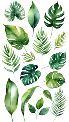 Tropical leaf watercolor background isolated image transparent background PNG