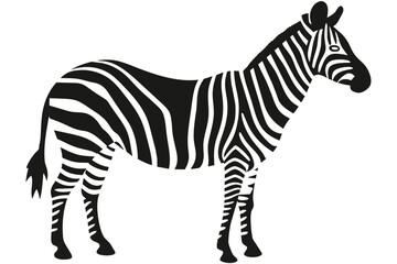 Zebra, striped horse, African savannah animal, striped hide, line pattern. Wild animal, cute character, isolated object on white background, cartoon vector drawing.