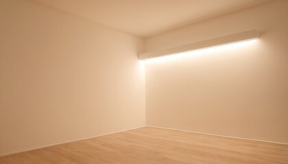 Empty room with white wall with led light and wooden