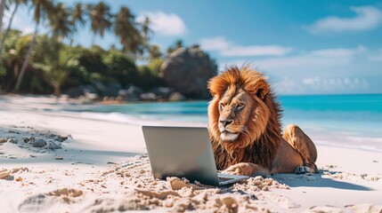 Animal lion freelancer working at tropical beach, holding laptop