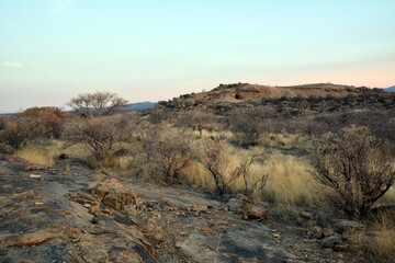 Desert landscape in a wild hilly area. Small dry trees and hills in the distance. Summer heat and wild nature