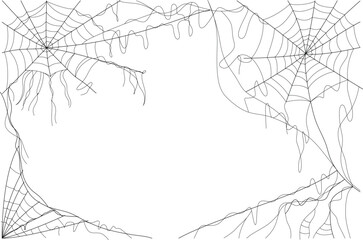 Spider web vector illustration, Halloween background, Halloween element design