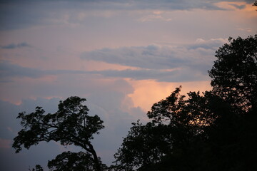beautiful cloudy sunset creating pink and orange clouds.