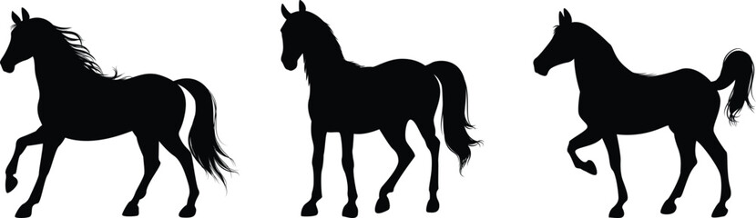 silhouettes horse isolated on transparent background, vector design	