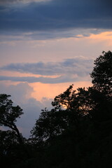 beautiful cloudy sunset creating pink and orange clouds.