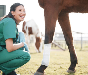 Veterinarian, horse and leg bandage or outside, medical employee and animal healthcare checkup on...