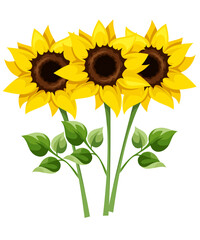 Sunflower Sunshine Tshirt Graphic