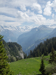 Bernese Alps landscape seen from Schynige Platte