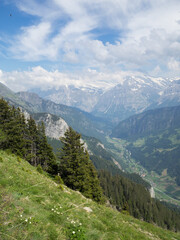 Obraz premium Bernese Alps landscape seen from Schynige Platte