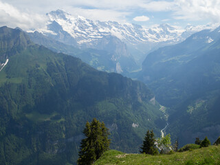 Fototapeta premium Bernese Alps landscape seen from Schynige Platte
