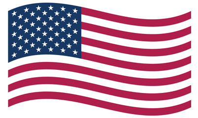 Obraz premium the flag usa