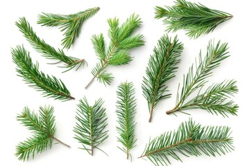 Close-up shot of a bunch of pine branches arranged on a clean white surface