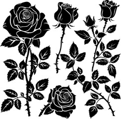 Set of black silhouettes of decorative fresh blossoming rose with steam and leaves