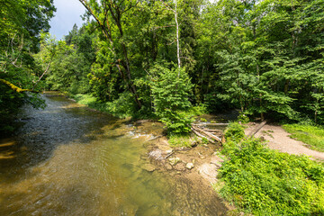Die Mündung der Gauchach in die Wutach
