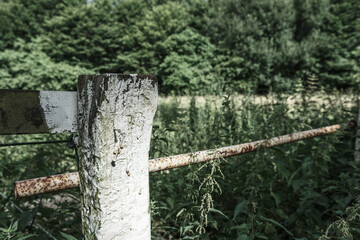 white painted fence post in the wilderness