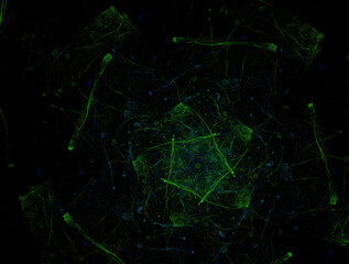Imaginatory fractal abstract background Image
