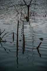 Nature, river, mountains
