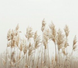 Fototapeta premium Elegant Wildflowers Field: Seasonal Bouquet Nature Art Floral Photography