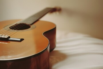 Fototapeta premium Guitar with Woodgrain Finish, Set Against Soft Focus Background