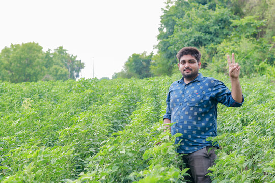 Guar or cluster bean