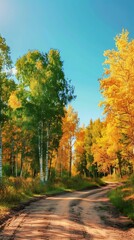 Naklejka premium Gorgeous nature background featuring autumn trees in green and yellow hues and a dirt road