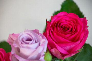薔薇の花束