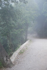 road in the fog on the Monserrat