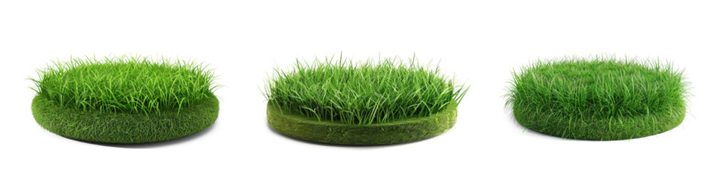 Green fairy with wings standing in grass magical fantasy transparent background