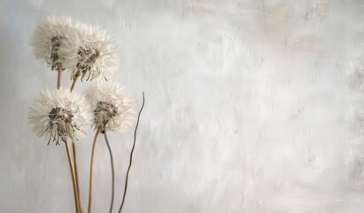  Whimsical Art Still Life Dandelions Bouquet Rustic Texture Background Blurred Flowers Soft Focus