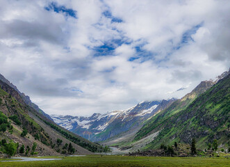 Serene hidden meadows in Naltar Valley, Gilgit-Baltistan