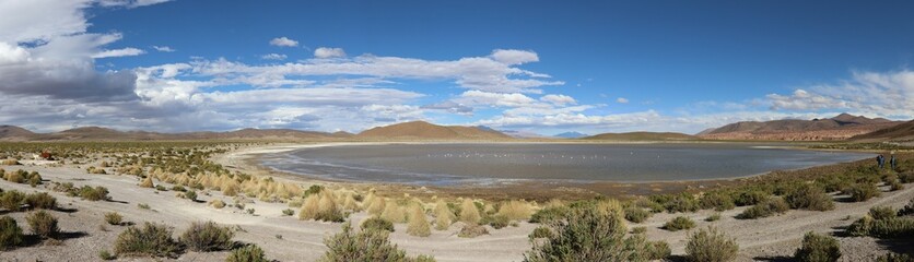 Panoramic photo Laguna Vinto in the Andean highlands of Bolivia. Landscape of the Bolivian highlands. 