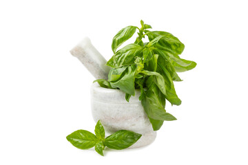 Fresh green basil in a mortar isolated on a white background. Organic spices and herbs. Vegan. Fresh kitchen herbs. Fresh basil being made into pesto with mortar and pestle.