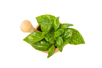 Fresh green basil in a mortar isolated on a white background. Organic spices and herbs. Vegan....