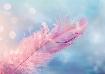 Obraz premium Soft Pink Feather with Blurred Background