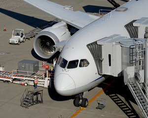 荷物を積み込み中の飛行機