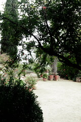 garden in the botanico Marimurtra